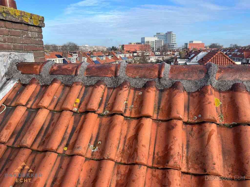 Echt Daken Renoveren Echt Daken Renoveren