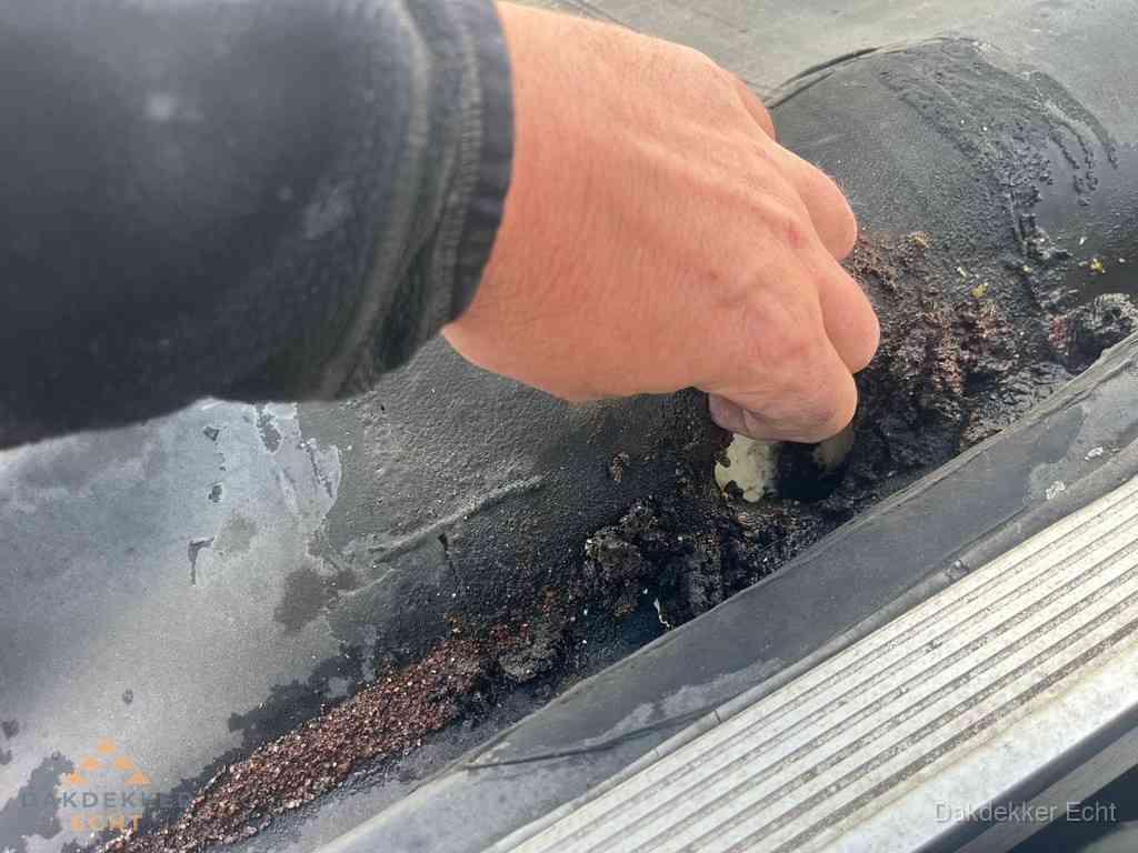 Plat Dak Reparatie Echt Plat Dak Reparatie Echt